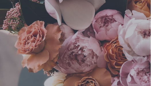 Amazing Graze Flowers offers unmatched deals, coupons, promotions, and cashback through OODLZ cashback.