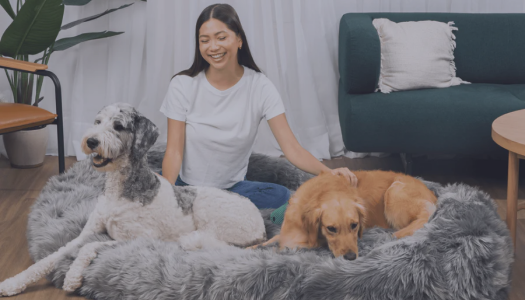Paw.com