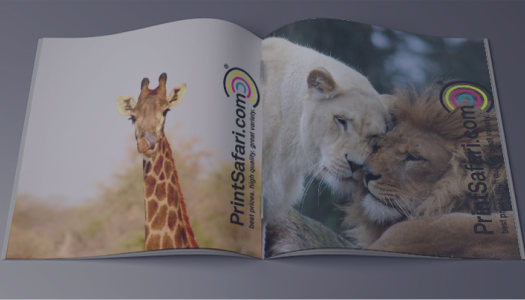 PrintSafari.com offers unmatched deals, coupons, promotions, and cashback through OODLZ cashback.