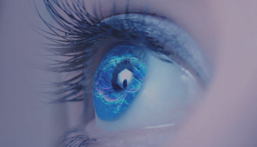 Revital Vision