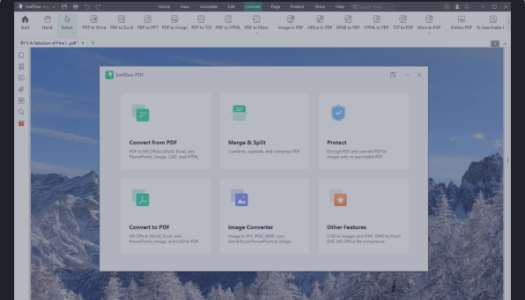 SwifDoo PDF