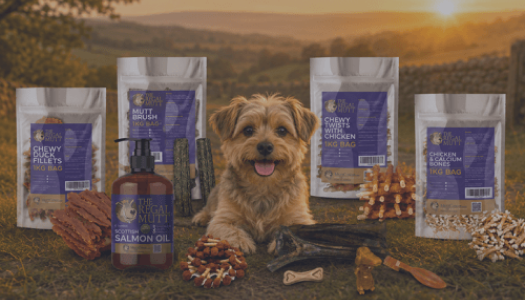 The Regal Mutt offers unmatched deals, coupons, promotions, and cashback through OODLZ cashback.