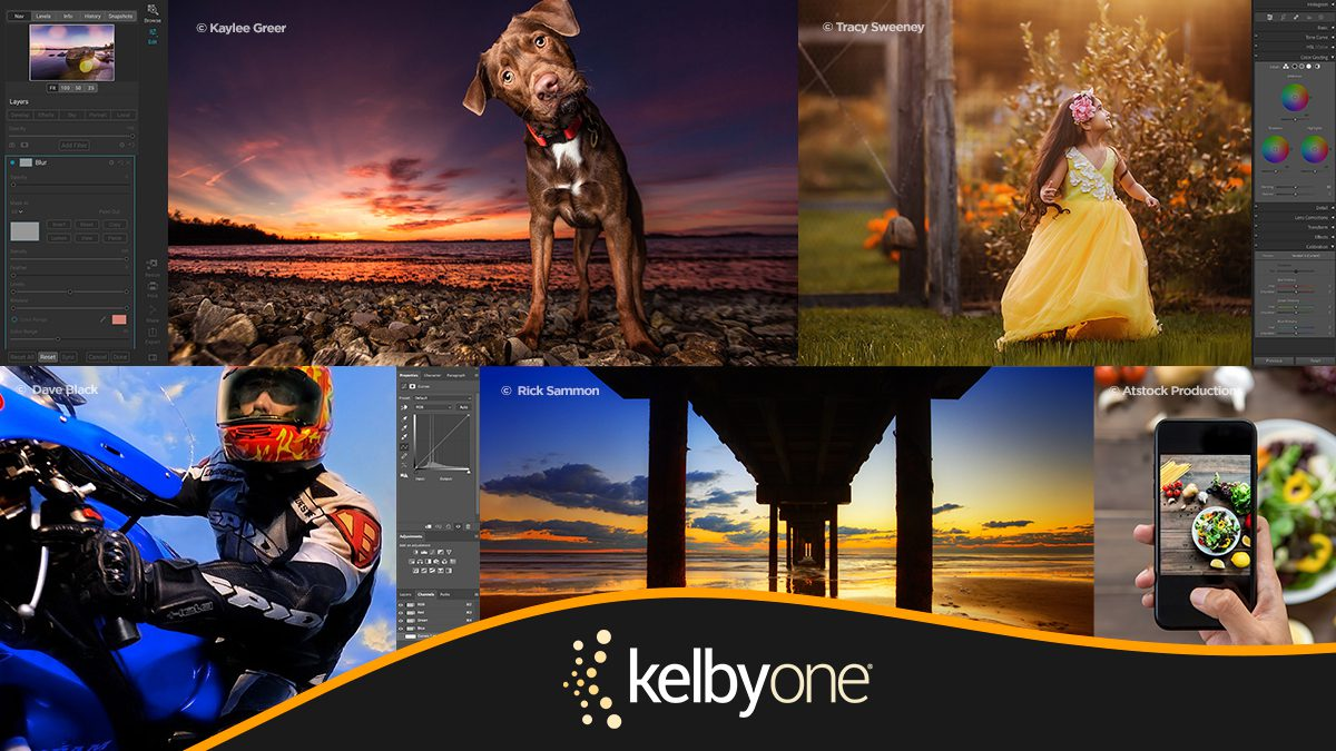 Access exclusive deals, coupons, offers and cashback on Master Your Photography Skills with KelbyOne through OODLZ courtesy of KelbyOne.