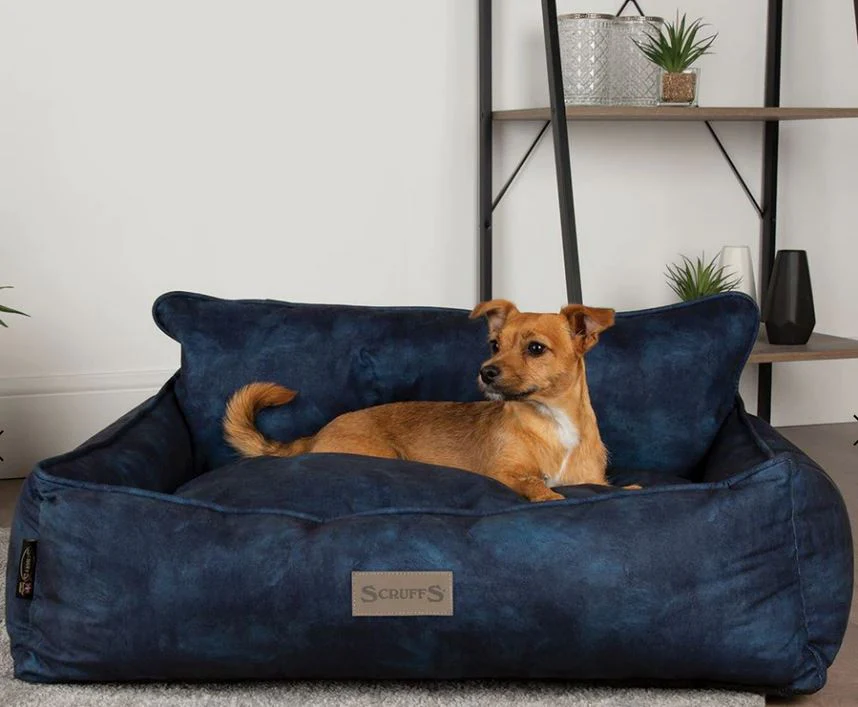 Access exclusive deals, coupons, offers and cashback on Discover Cozy Comfort with Pets Love Scruffs Pet Beds through OODLZ courtesy of Pets Love Scruffs.