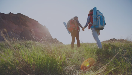Moosehill provides unbeatable deals, coupons, offers and cashback via OODLZ cashback.