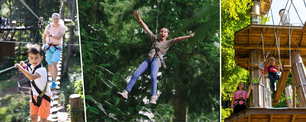 Go Ape provides unbeatable deals, offers and cashback on Feel the Adrenaline Rush: Go Ape Zip Lines and More via OODLZ.